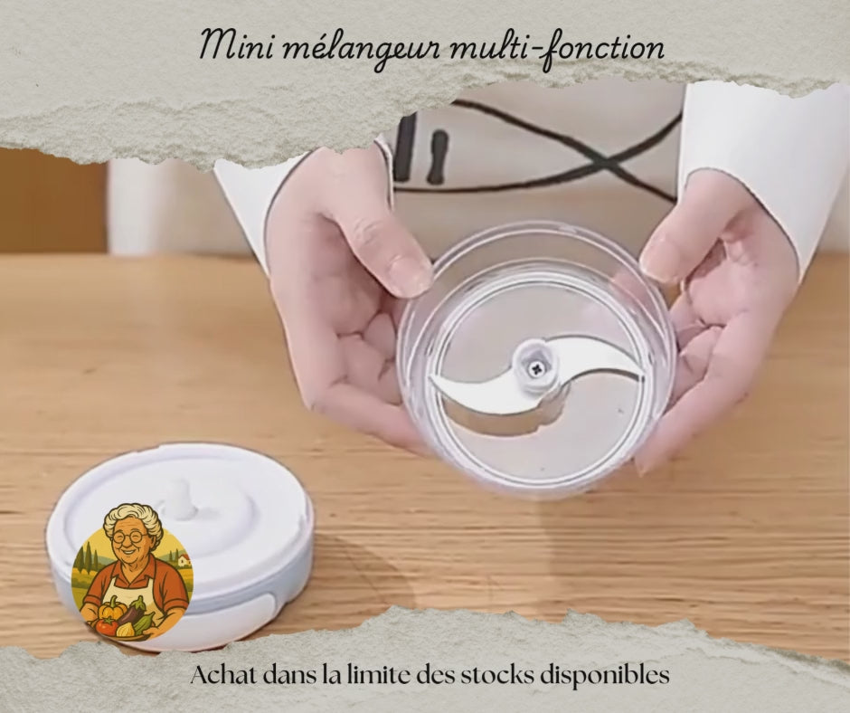 Mini mélangeur multi-fonction – Presse-ail, hachoir légumes & viande manuel